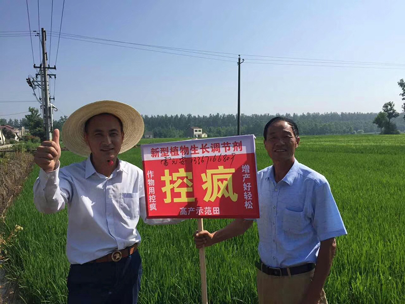 農(nóng)達黃金搭檔“控瘋+優(yōu)奶特”啟動會順利召開(圖4)