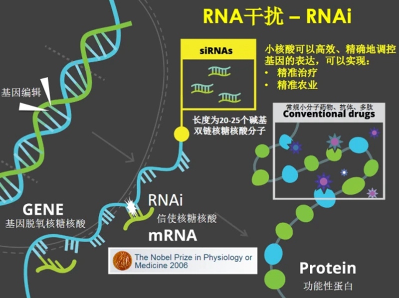 RNA生物農(nóng)藥商業(yè)化及發(fā)展趨勢(shì)(圖1)