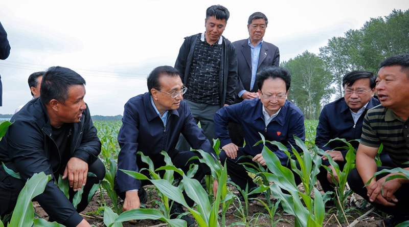 重磅！農資上漲不要怕，補貼來了！(圖1)